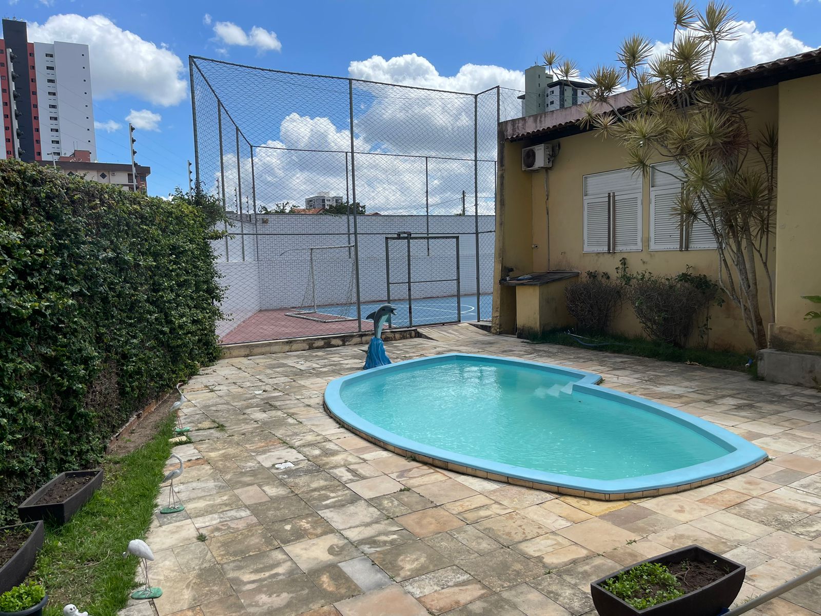 PROJETO-FENIX-PHOTPS (3)